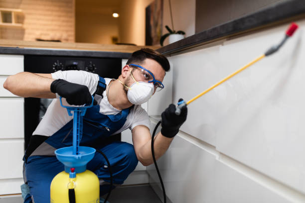 Best Rat Extermination Near Me  in Silver Ridge, NJ