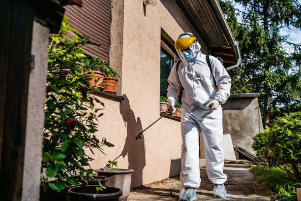 Best Spider Control Near Me  in Silver Ridge, NJ