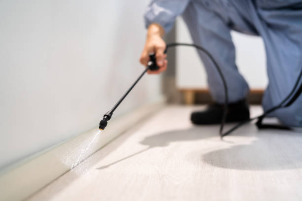 Best Cockroach Control Services  in Silver Ridge, NJ