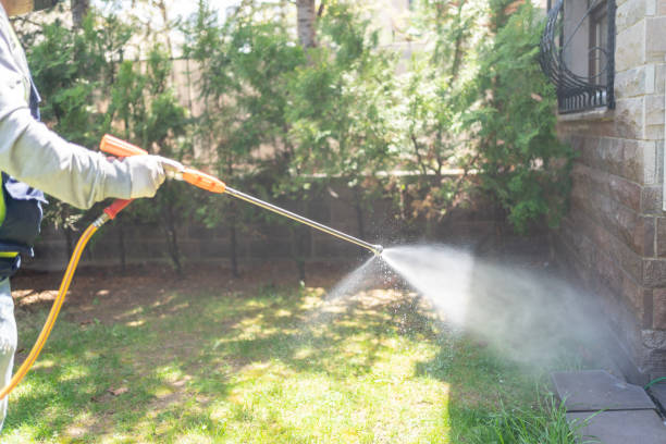 Bird Control in Silver Ridge, NJ
