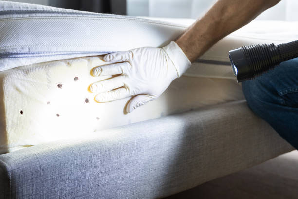 Best Affordable Pest Control Services  in Silver Ridge, NJ