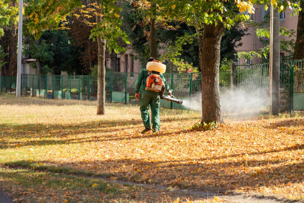 Best Wasp Removal Services  in Silver Ridge, NJ