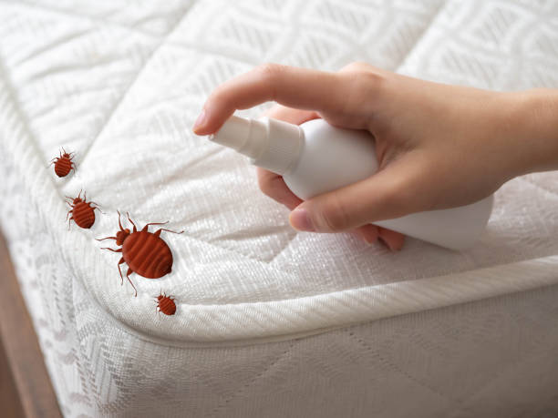 Best Best Pest Control Near Me  in Silver Ridge, NJ