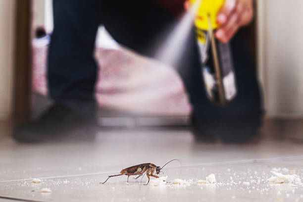 Best Pest Control Treatment  in Silver Ridge, NJ