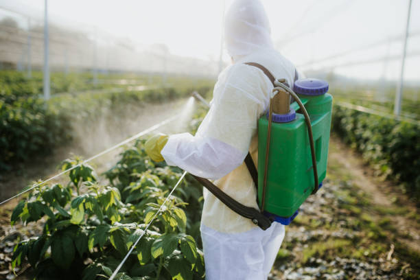 Best Termite Control Services  in Silver Ridge, NJ